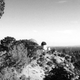 Illustration for article titled Scenes from the Griffith Observatory